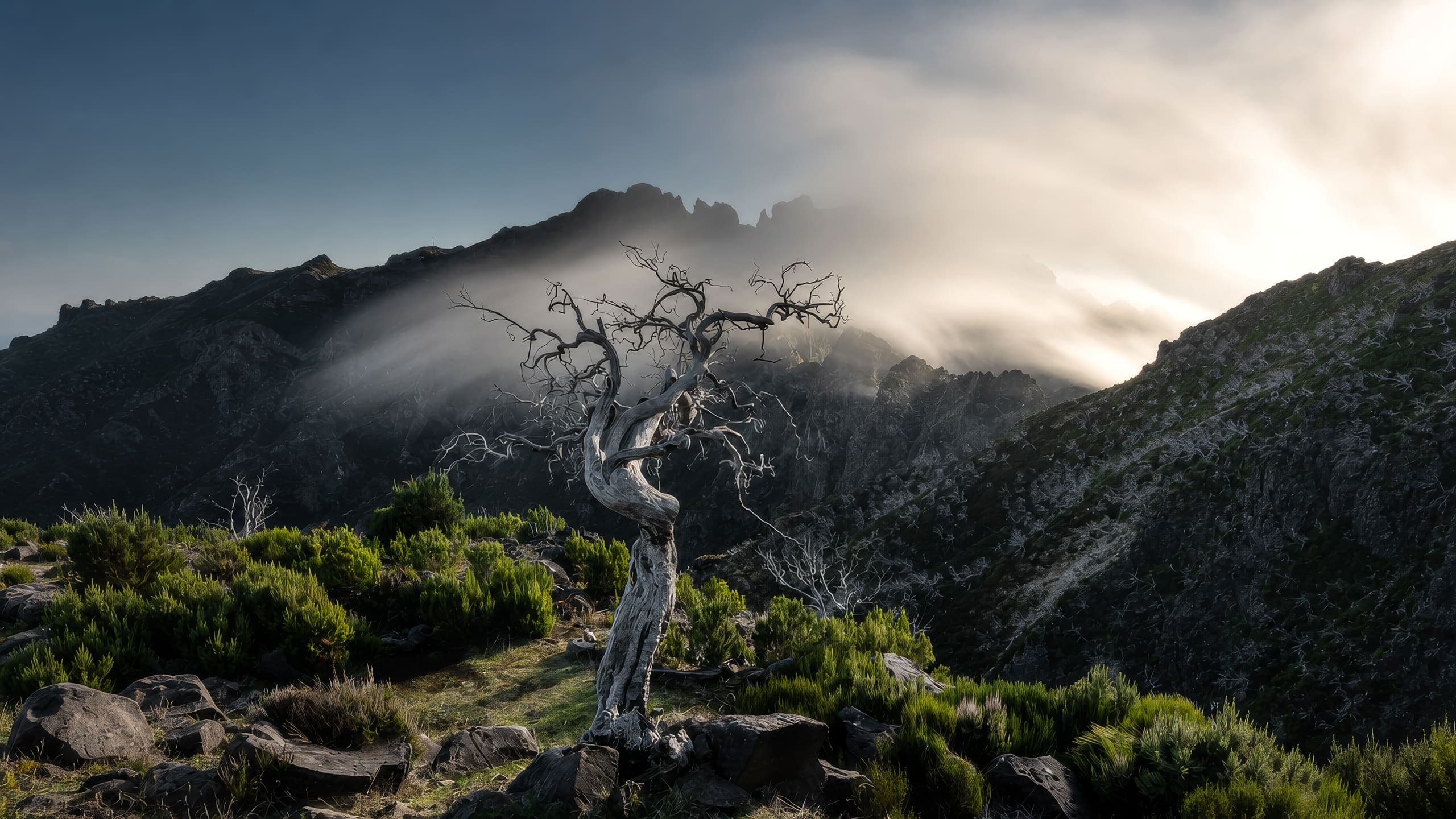 Pico do Areeiro
